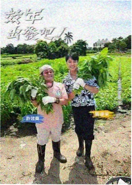 户外探险综艺剧照